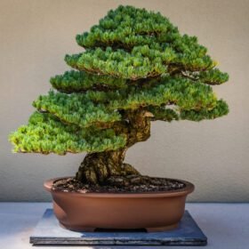 Bonsai artificiel